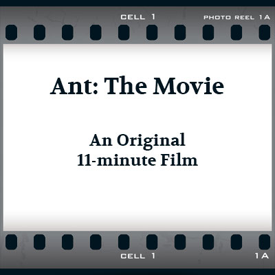 Film title set on a film strip cell. Link to the Ant: The Movie film page.